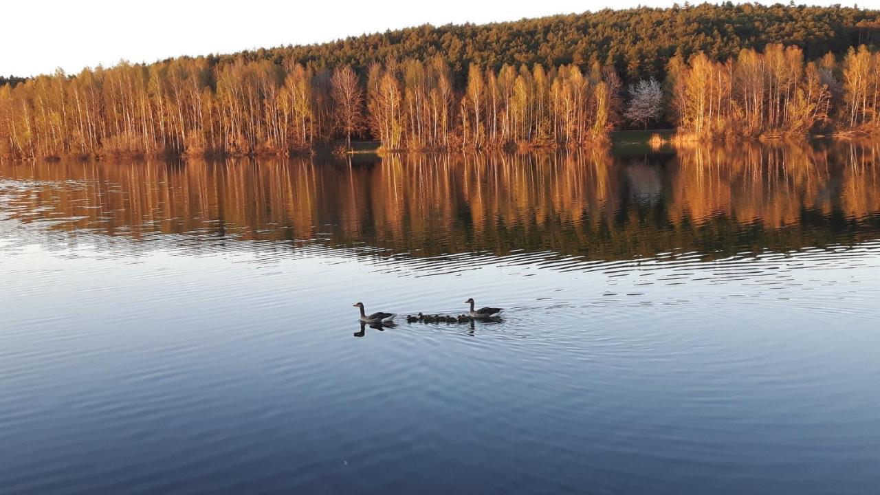 Ferienwohnung Schwalbennest Am Igelsbachsee Absberg Exteriör bild